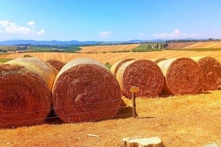 Tour de Vino Chianti Classico y Visita a San Gimignano de Medio Día — foto 4