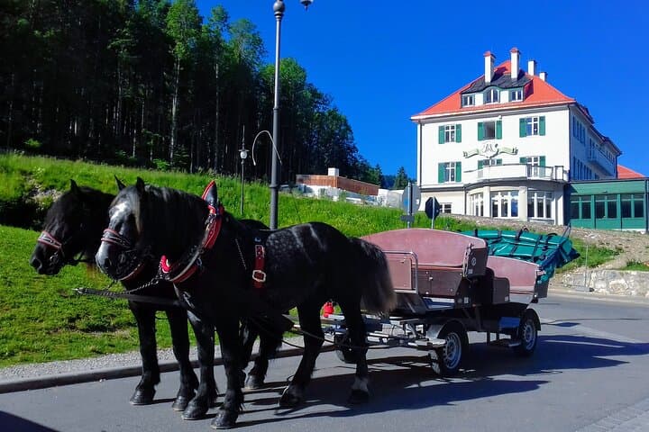 Umgehen Sie die Warteschlange NEUSCHWANSTEIN und Mt. Zugspitze Private Tour — Foto 4