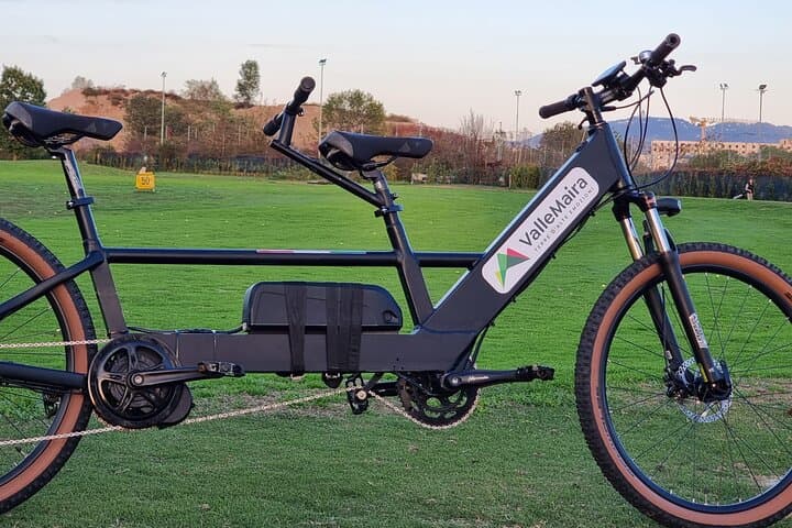 Noleggia e-bike, bici, e-tandem a Torino — foto 4