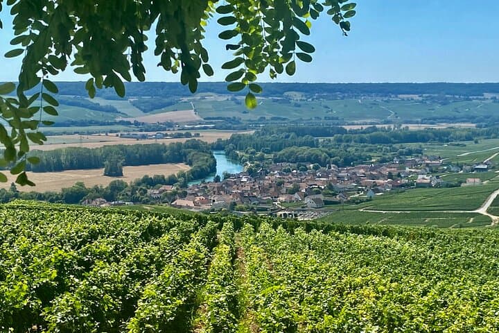 Private Champagnerausflug von Paris zu Moet et Chandon und Veuve Clicquot — Foto 2