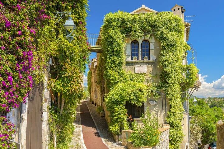 Weinverkostung und Markttour in Cannes und Saint-Paul-de-Vence