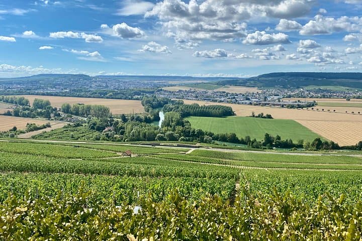 Excursion d'une journée en Champagne : Moet et Chandon &amp; Veuve Clicquot — photo 4