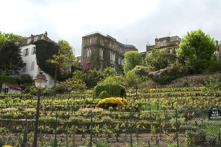 El Rally de los Vinicultores en Montmartre — foto 1
