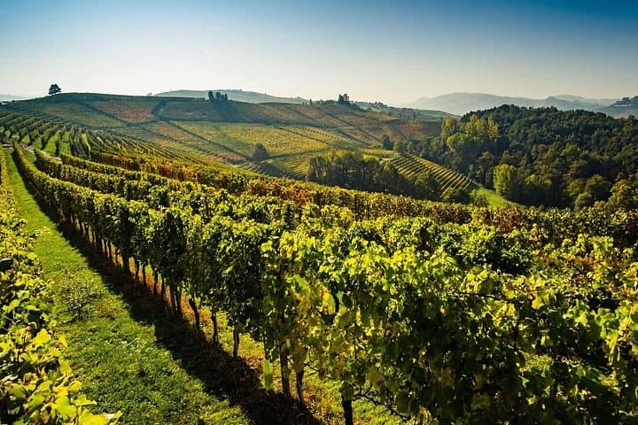 Valpolicella Wein- und Olivenölverkostung mit Mittagessen ab Verona — Foto 5