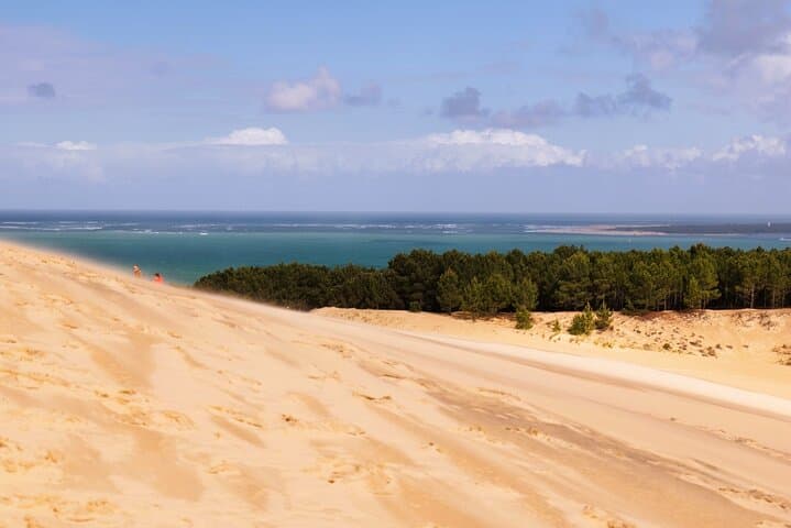 Escursione di un giorno nella Baia di Arcachon da Bordeaux con pranzo e Duna di Pyla — foto 3
