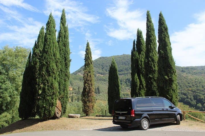 Cata en un viñedo toscano con traslado desde Pisa — foto 1