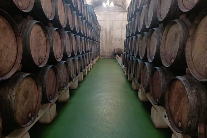Visite complète des vins de Rioja depuis Saint-Sébastien — photo 2