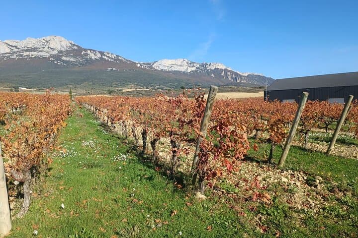 Vollständige Rioja-Weintour mit Mittagessen – Private Tour ab San Sebastian — Foto 3