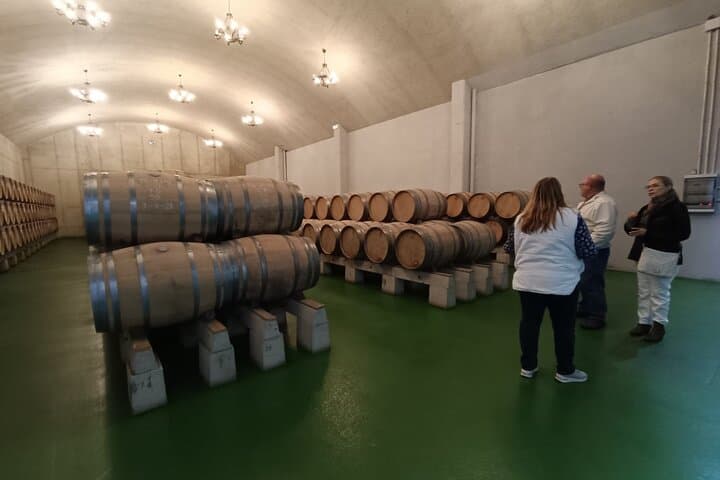 Visite privée des vins de Rioja depuis San Sebastián et le village de Laguardia — photo 3
