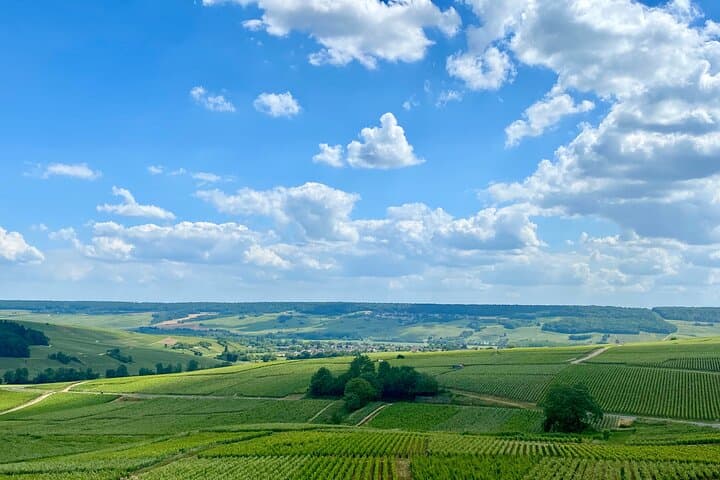 Excursion Privée d'une Journée en Champagne depuis Paris — photo 4
