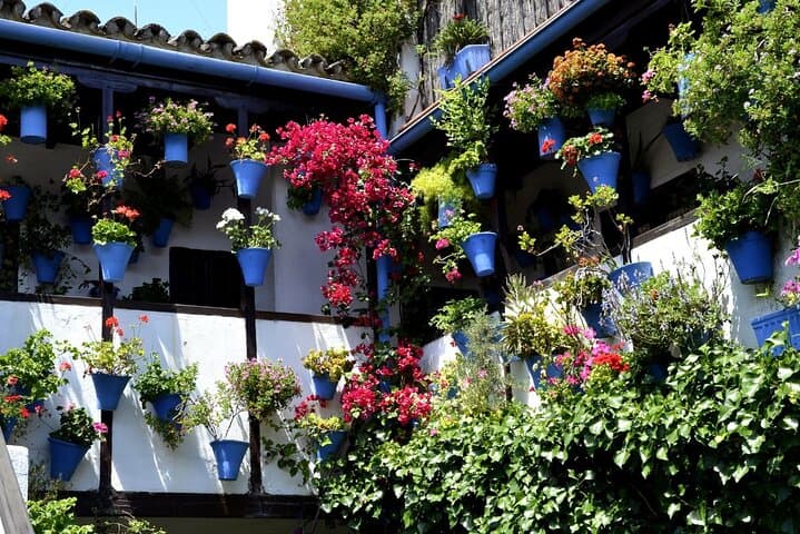 Tagesausflug nach Córdoba von Málaga — Foto 4