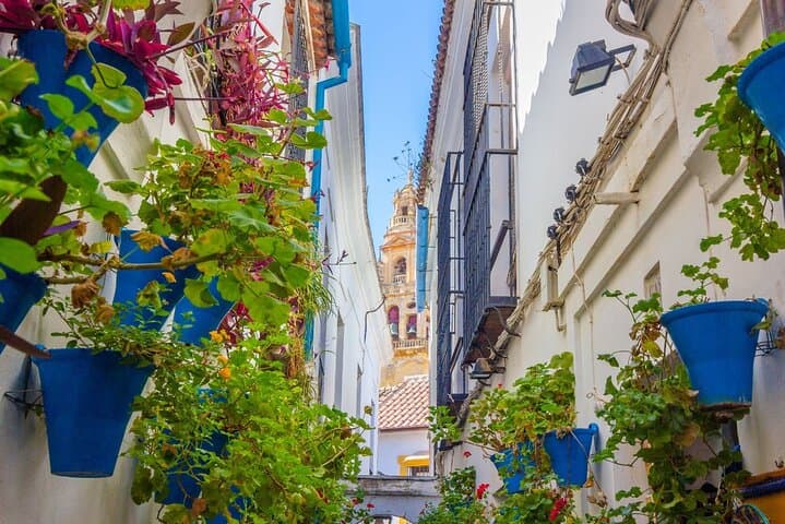 Geführte Tour durch Córdoba mit Zugang zur Moschee-Kathedrale ab Málaga — Foto 4