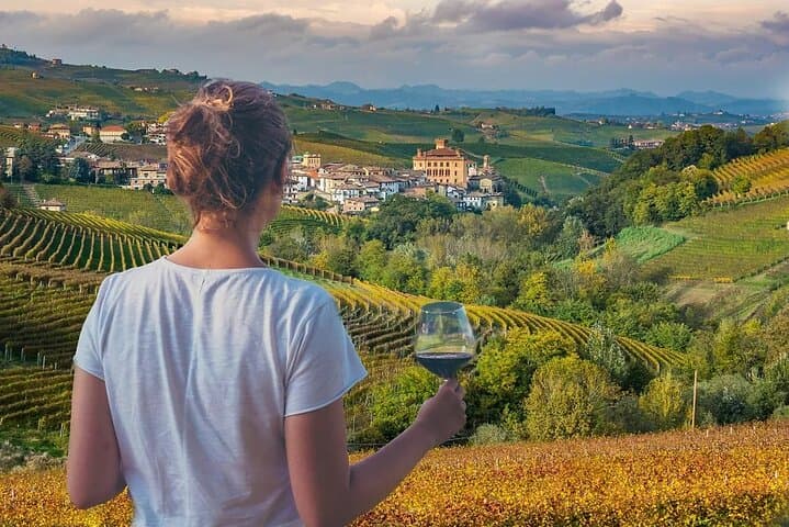 Tour de Vinos en Langhe con Cata desde Alba y Turín
