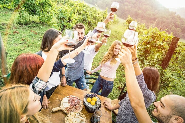 Tour de Vinos en Langhe con Cata desde Alba y Turín — foto 4
