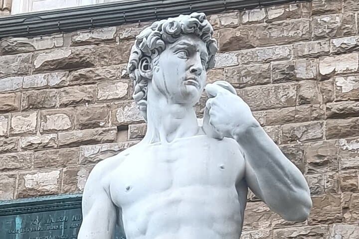 Ingresso Programmato alla Statua di David della Galleria dell'Accademia — foto 5