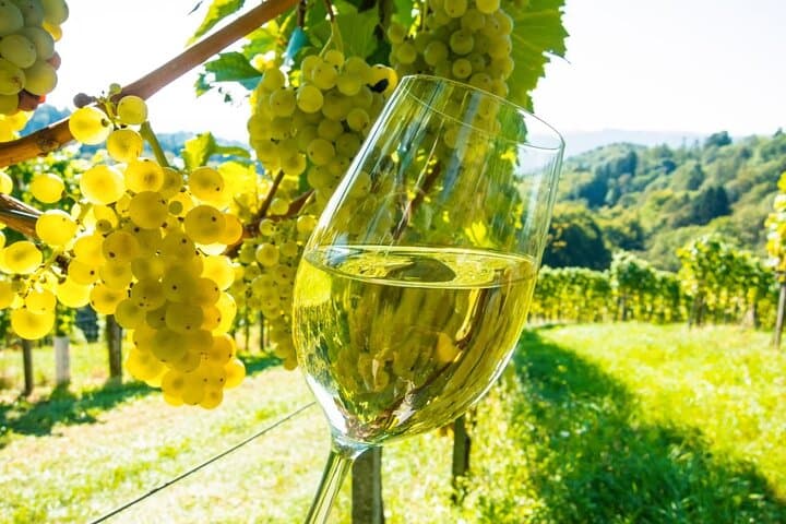 Visite du marché provençal et dégustation de vin - Excursion d'une journée en groupe depuis Nice