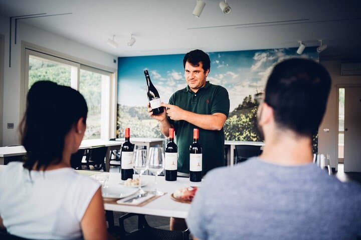 Toskana Bio-Wein Tour in einem familiengeführten Weingut — Foto 3