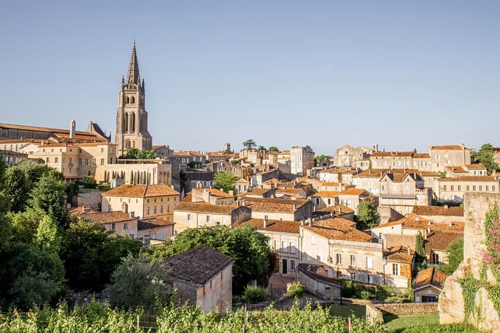 Visite des Vins de Saint-Émilion : Vignoble et Village