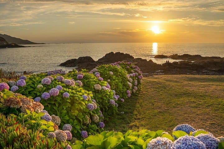 Privatführung nach Biarritz und Baiona von Bilbao — Foto 4