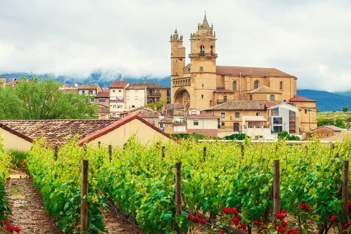 Private Tour durch Rioja und Tapas- und Weinverkostung in Logroño ab Bilbao