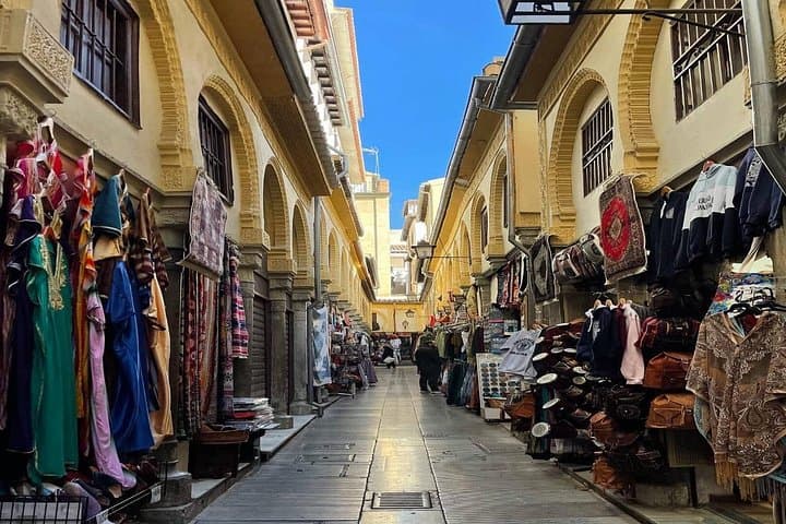 Visite Privée de l'Alhambra de Grenade depuis le Port de Motril — photo 1