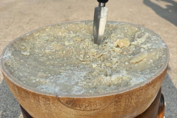 Von Bologna: Parmesan Käse & Balsamico Tour+Mittagessen