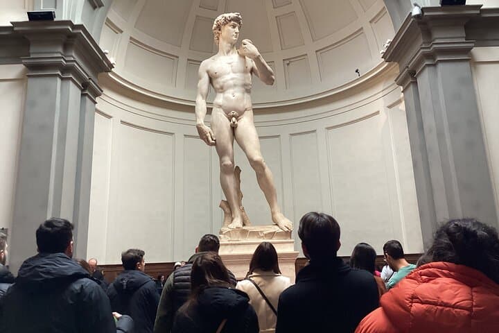 David e Galleria dell'Accademia: Tour di Gruppo di 1 Ora — foto 3