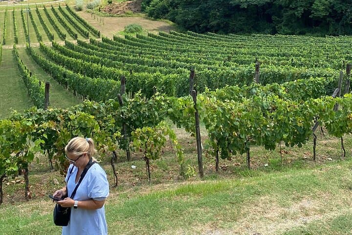 Weintour durch die Toskana in Pisa mit dem Van — Foto 3