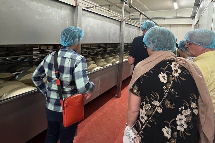 Visite d'une journée complète du Parmesan, du vin et du vinaigre balsamique avec déjeuner