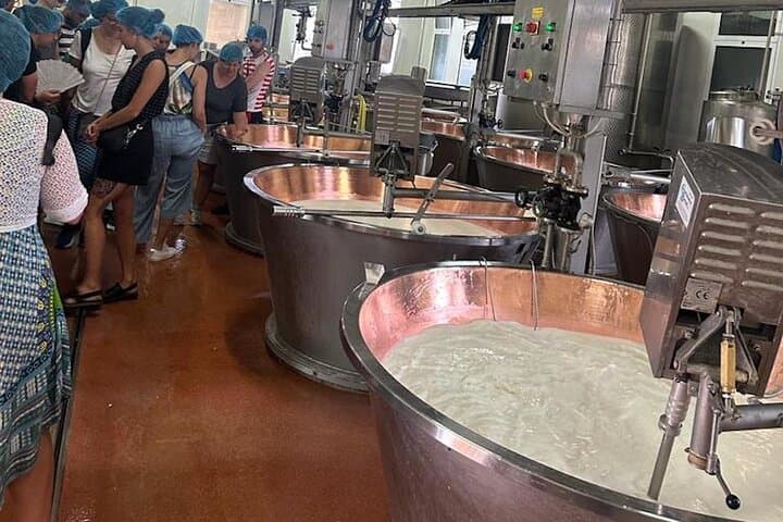 Visite d'une journée complète du Parmesan, du vin et du vinaigre balsamique avec déjeuner — photo 2