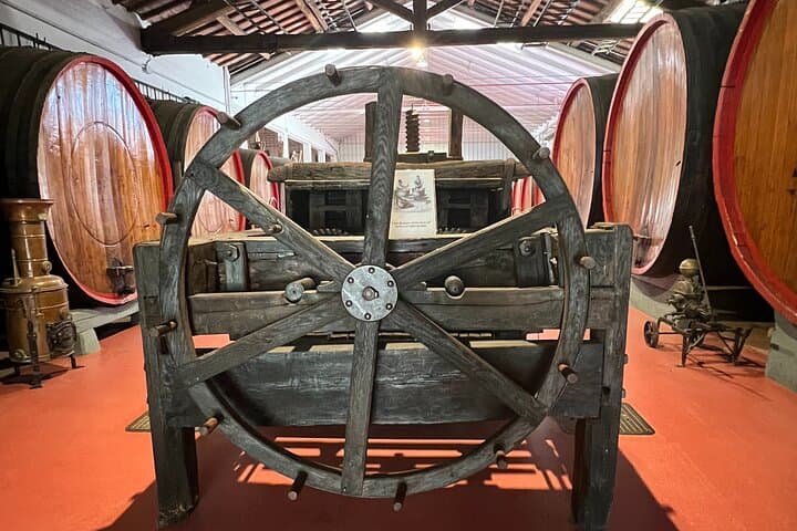 Visite d'une journée complète du Parmesan, du vin et du vinaigre balsamique avec déjeuner — photo 4