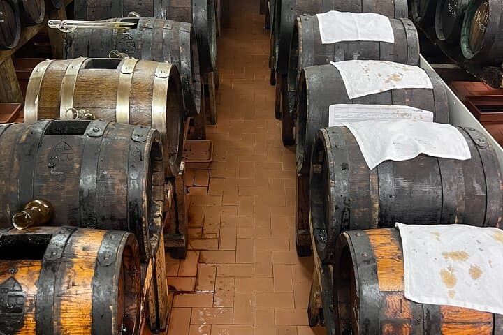 Visite d'une journée complète du Parmesan, du vin et du vinaigre balsamique avec déjeuner — photo 5