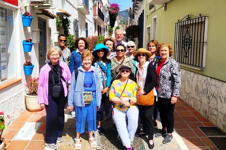 Tour Privado de Medio Día en Marbella desde Málaga — foto 3