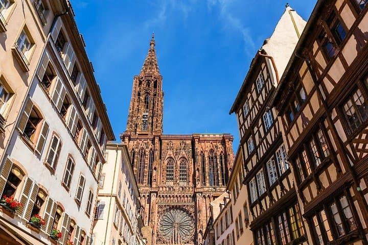 Tour Gourmet en Bicicleta en Estrasburgo — foto 4