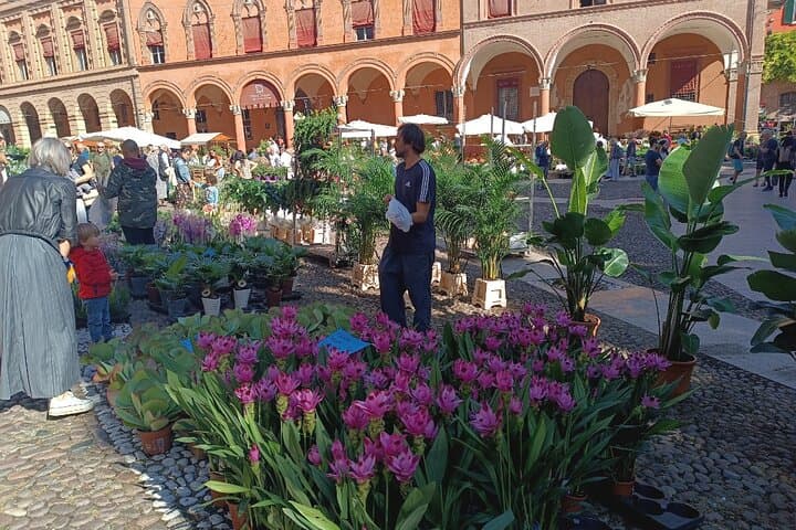 Tour a Piedi di Bologna con Dimostrazione di Pasta — foto 4