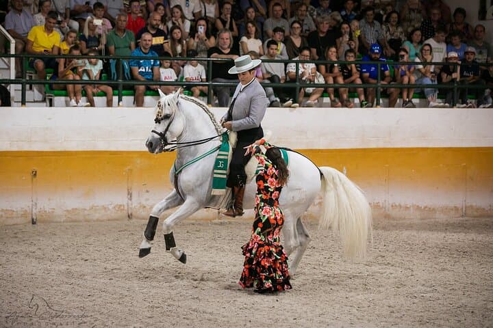 Cavalli Andalusi e Spettacolo di Flamenco a Torremolinos