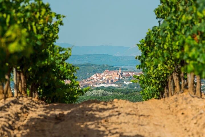Private Tour durch Rioja und Tapas- und Weinverkostung in Logroño ab Bilbao — Foto 3