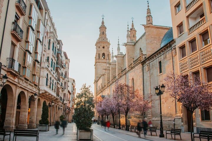Private Tour durch Rioja und Tapas- und Weinverkostung in Logroño ab Bilbao — Foto 4