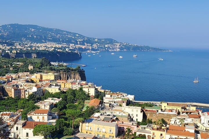 Transfert privé de Naples à Sorrente avec visite de Pompéi — photo 5