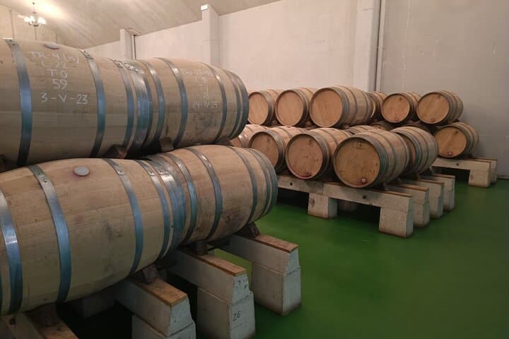 Visite privée des vins de Rioja depuis San Sebastián et le village de Laguardia — photo 4