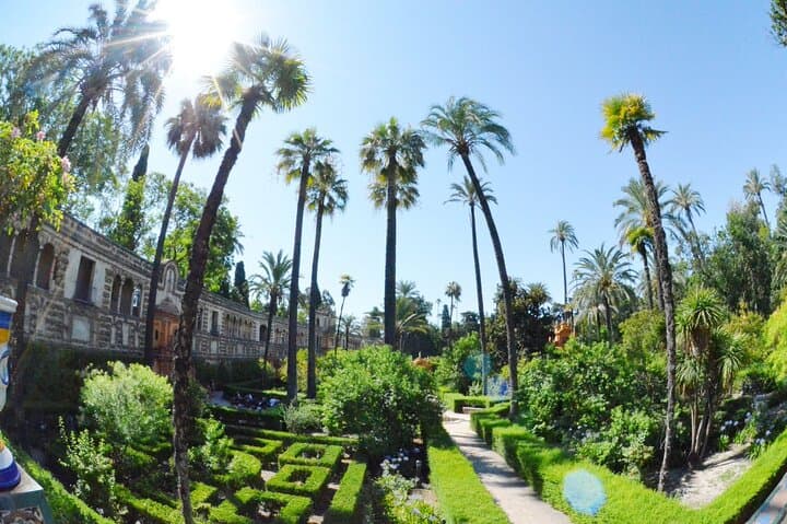 Visite guidée de l'Alcazar, de la Cathédrale et de la Giralda à Séville — photo 4