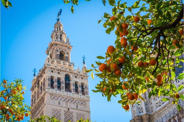 Visite guidée de l'Alcazar, de la Cathédrale et de la Giralda à Séville — photo 3