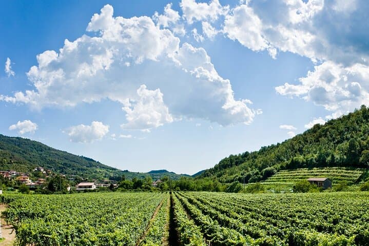 Ganztägiger Ausflug in die Franciacorta: 2 Weingüter und Mittagessen ab Mailand — Foto 2