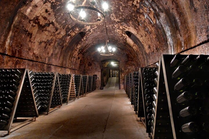 Ganztägiger Ausflug in die Franciacorta: 2 Weingüter und Mittagessen ab Mailand — Foto 4
