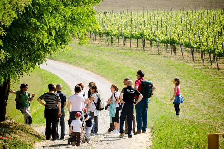 Ganztägiger Ausflug in die Franciacorta: 2 Weingüter und Mittagessen ab Mailand — Foto 5