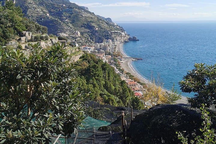 Tour privato con degustazione al Sentiero dei Limoni