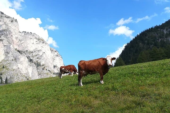 Le Grand Tour des Dolomites depuis le Lac de Garde — photo 3