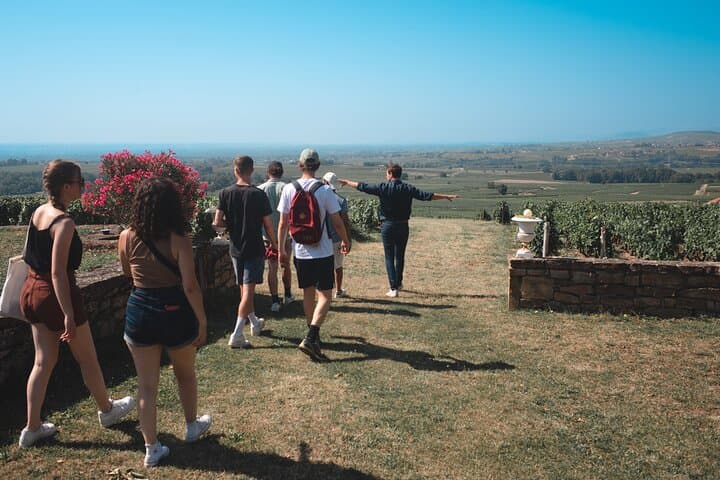 Privater Halbtages-Wein-Tour von Lyon im Beaujolais — Foto 5