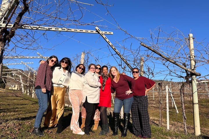 Große Tour durch die Valpolicella: Amarone-Fokus, 2 Weingüter und Mittagessen — Foto 4