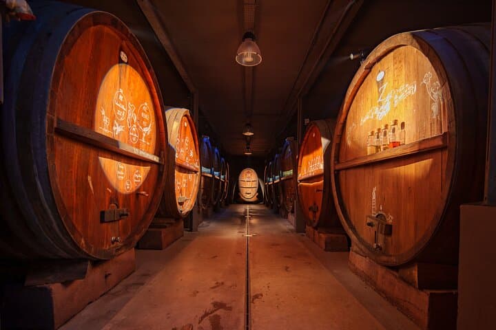 Tour della cantina immersivo - degustazione e brunch alsaziano — foto 2